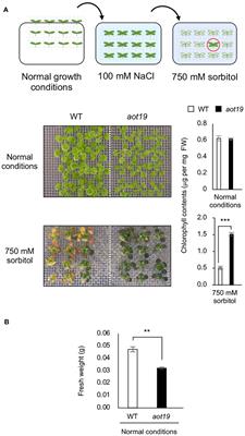 Mutations in nuclear pore complex promote osmotolerance in Arabidopsis by suppressing the nuclear translocation of ACQOS and its osmotically induced immunity
